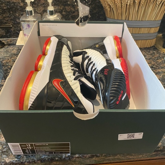 Nike Lebron xvi sb black n white shoes